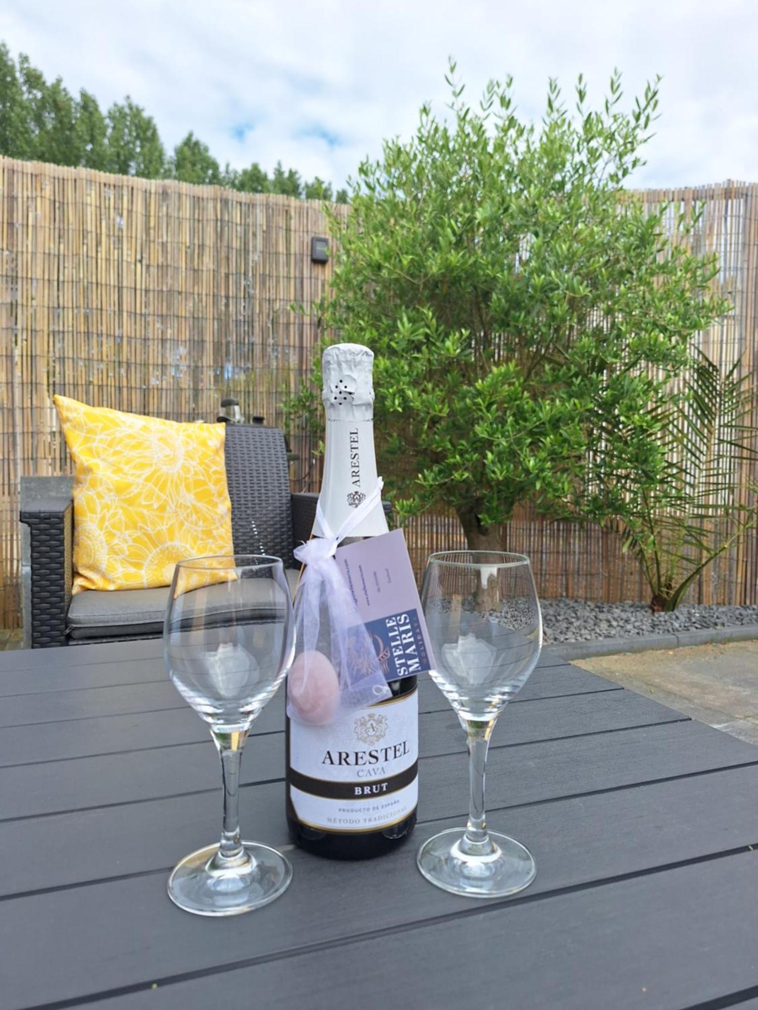 Stelle Maris, Nice Place In Heinkenszand, 2 Bedrooms, Outdoor Swimming Pool, Wifi Smart Tv And Privacy Экстерьер фото
